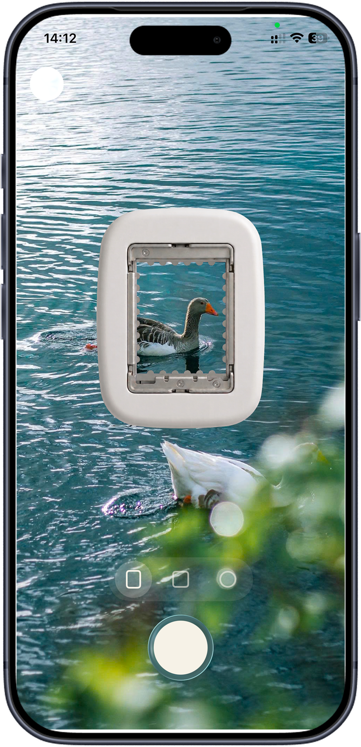 Stampist camera screen